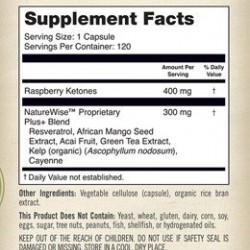 كيتونات التوت الطبيعية لفقدان الوزن